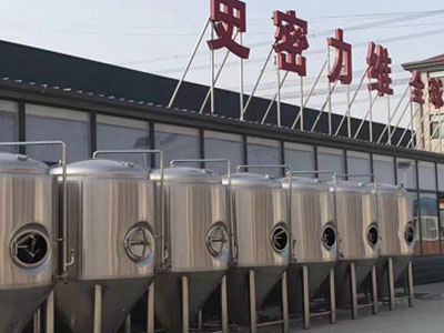 道里精酿啤酒设备厂—如何判断精酿啤酒设备的密封件需要更换？